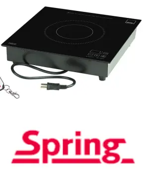 Art. 58 9840 25 31 Spring Built-in induction unit 2500 W
